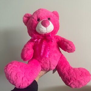 Hot pink bear Teddy bear bright bear soft stuff animal buddy pal gift bear